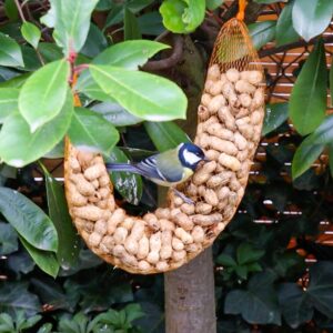 Vogelvoeronline | Doppindaslinger