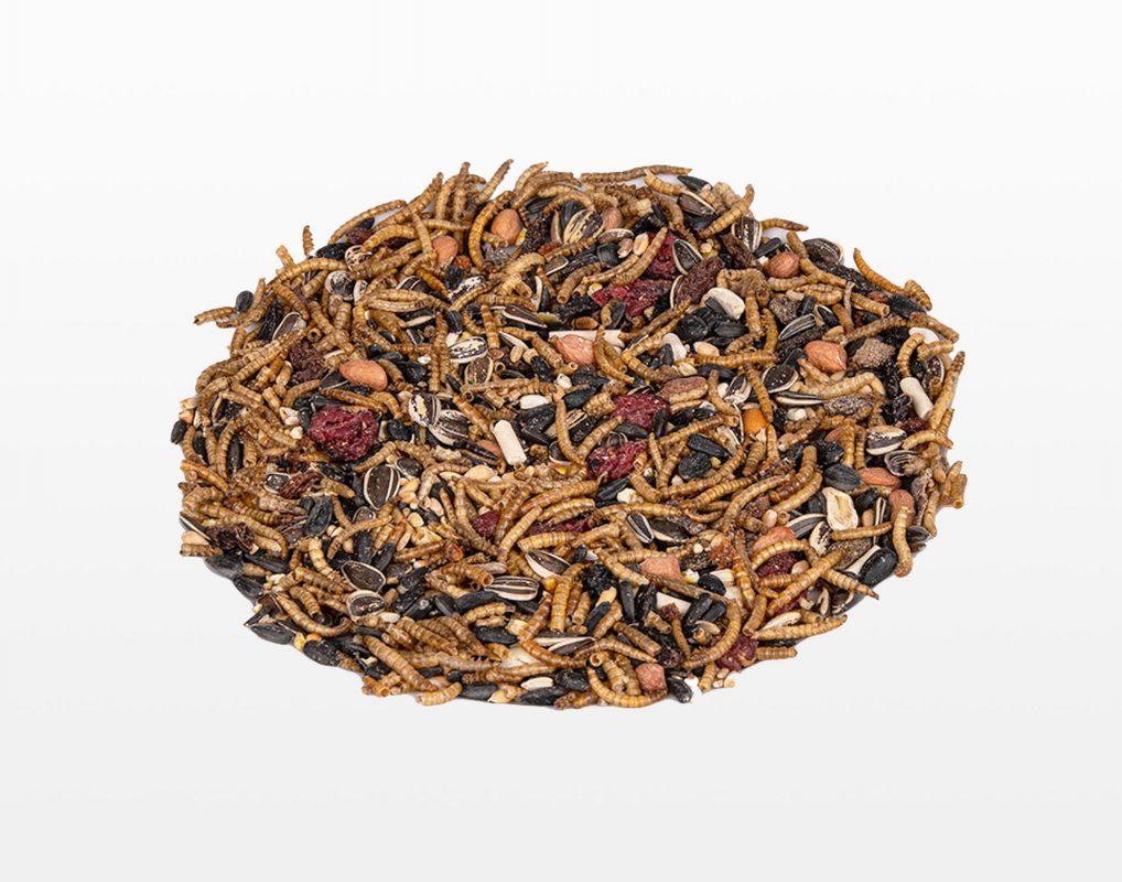 Strooivoer insecten en fruit vogelvoer