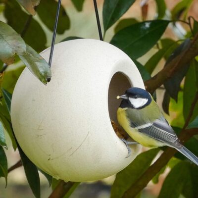 Vogelvoeronline | Voederbol Lisa