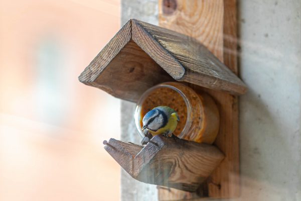 vogelpindakaaspothouder