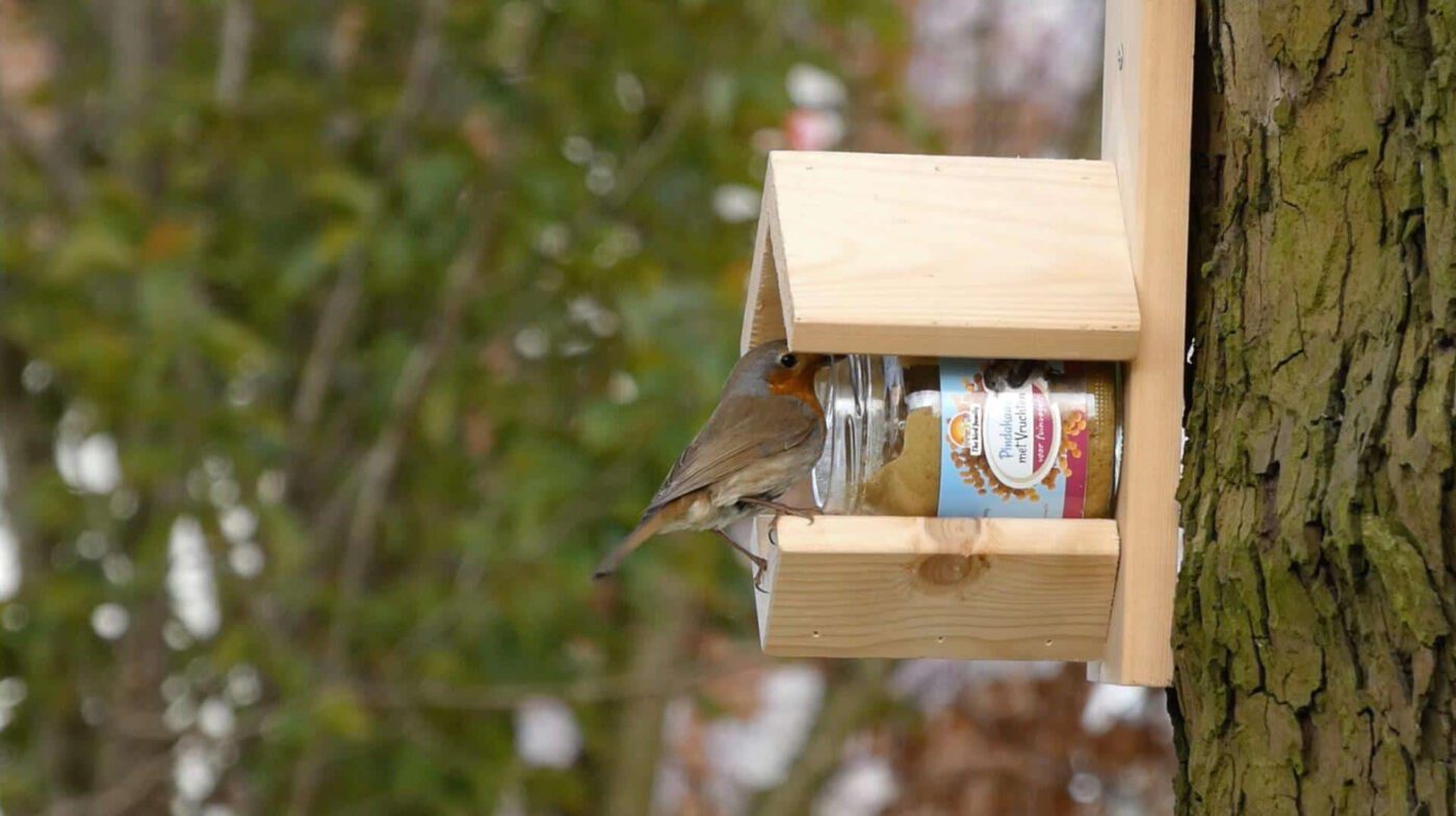 Vogelpindakaas