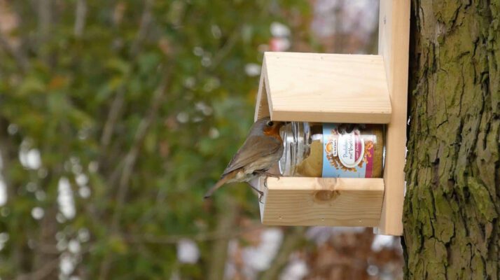 Vogelpindakaas