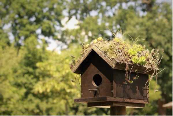 Nestkast schoonmaken